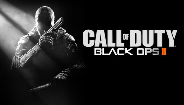 Black Ops 2 Plutonium server hosting